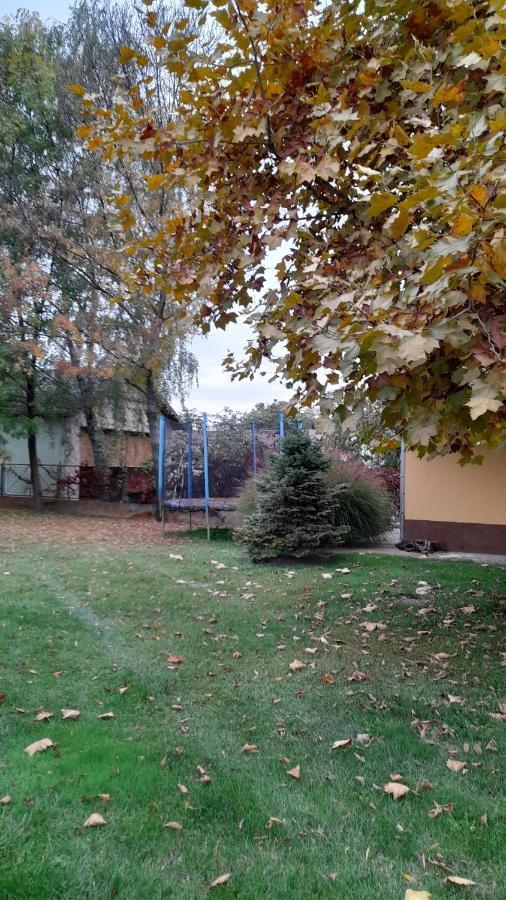 Szahara Vendégház Kerekegyháza Exterior foto